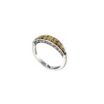 Aretousa Ring in 18K Gold and Sterling Silver