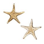 Starfish stud earrings in 18K Gold