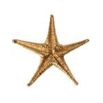 Starfish brooch in 18K Gold