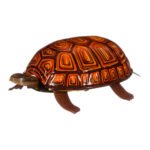 Μεταλλική Κουρδιστή Χελώνα