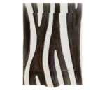 Κάρτα με Κίνηση Ζέβρα