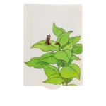 Κάρτα με Κίνηση Πεταλούδα