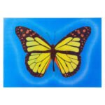 Κάρτα 3D Πεταλούδα με Μπλε Φόντο