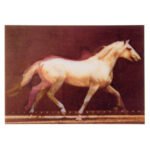 Κάρτα 3D Λευκό Άλογο