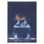 Κάρτα 3D Ψάρι