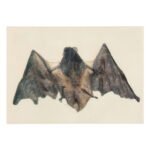 Kάρτα 3D Νυχτερίδα