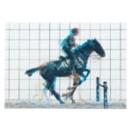 Κάρτα 3D Ιππέας