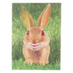 Kάρτα 3D Λαγός