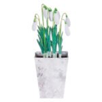 Κάρτα 3D Γλαστράκι με Λευκά Λουλούδια