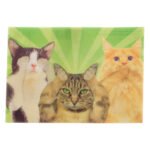 Κάρτα 3D Γάτες