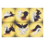 Κάρτα 3D Σκιές Ζώων