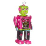 Ρομπότ Roberta