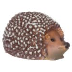 Διακοσμητικός Σκαντζόχοιρος