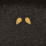 Καρφωτά Σκουλαρίκια Φυλλαράκια από Επιχρυσωμένο Ασήμι