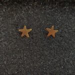Καρφωτά Σκουλαρίκια Αστεράκια από Επιχρυσωμένο Ασήμι