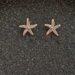 Ασημένια Καρφωτά Σκουλαρίκια Αστερίες