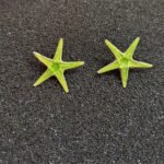 Ασημένια Σκουλαρίκια Αστερίες